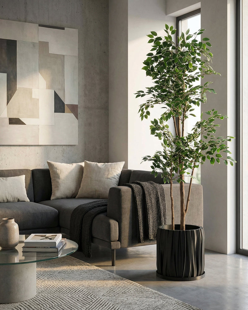 A Monstera plant in a black, textured planter pot sits on a dark wood floor in a room with dark green walls.