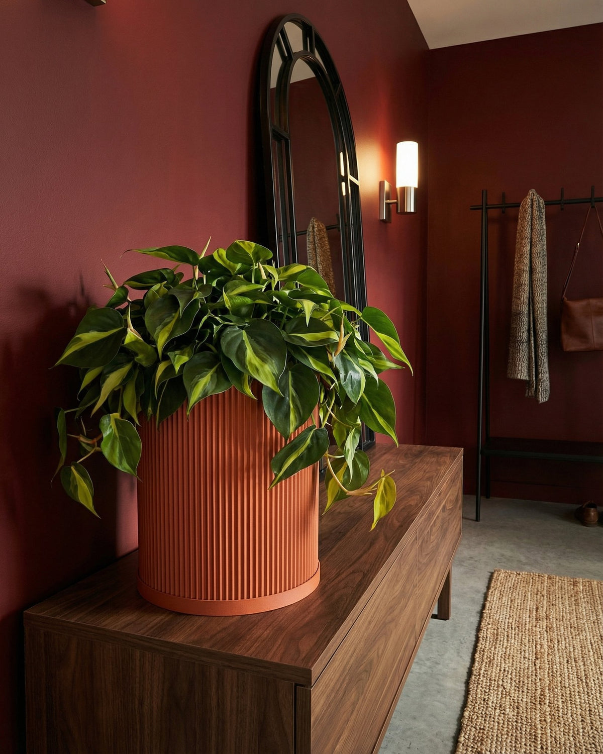 A vibrant green philodendron plant overflows from a textured, terracotta-colored planter pot, sitting atop a wooden console table.