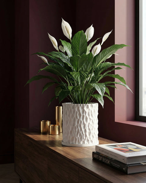 A peace lily in a textured white planter sits on a wooden cabinet next to gold decorative cups and books.