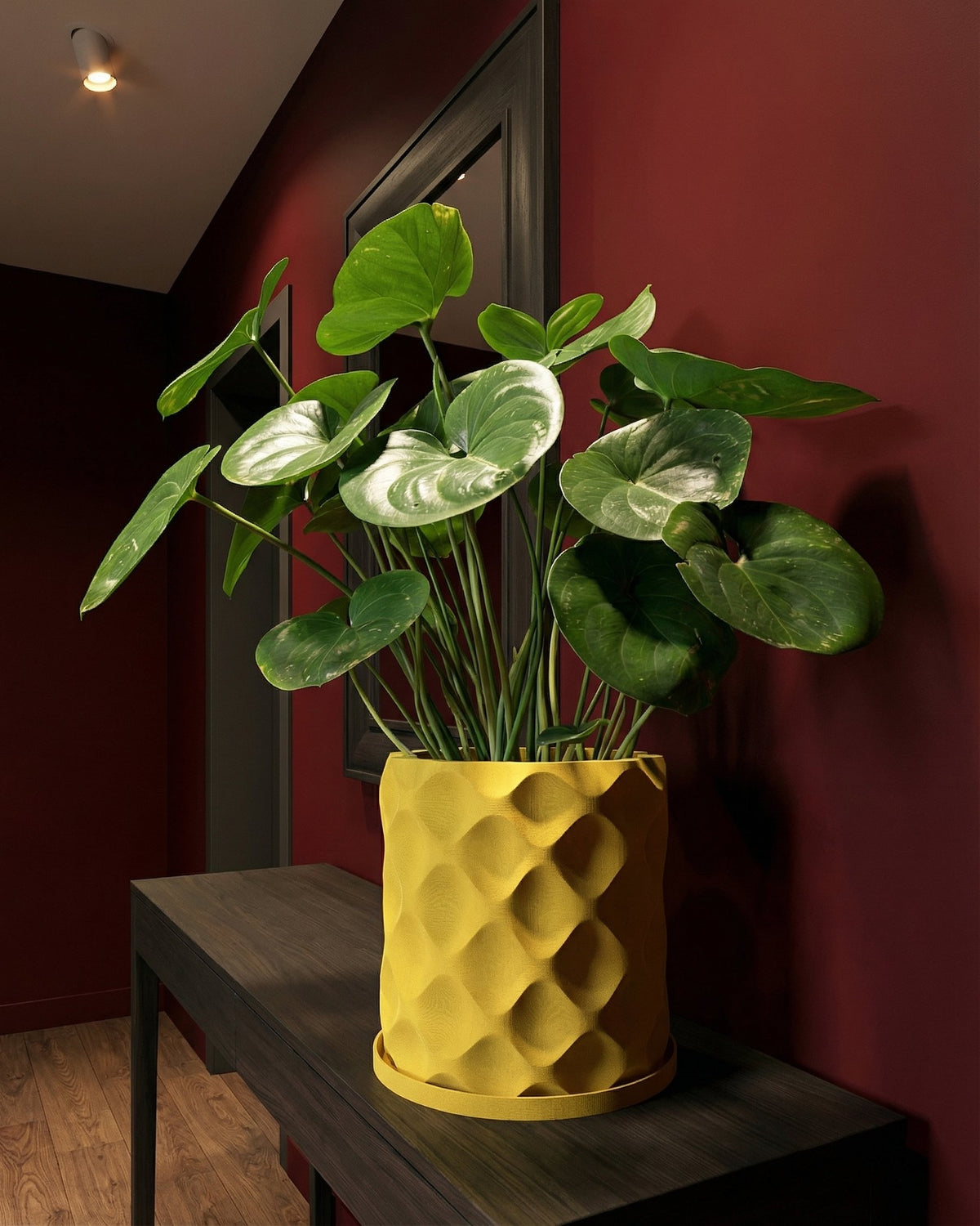 A yellow planter pot with a geometric pattern sits on a dark wood table against a red wall, holding a lush green plant.