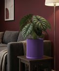 A purple planter pot with a green plant sits on a wooden table in a living room.