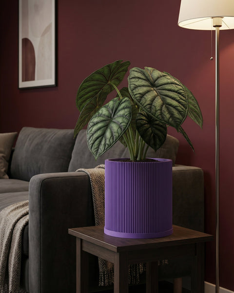 A purple planter pot with a green plant sits on a wooden table in a living room.