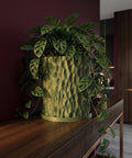 A green Monstera adansonii plant in a green textured planter pot sits on a wooden table against a dark red wall.