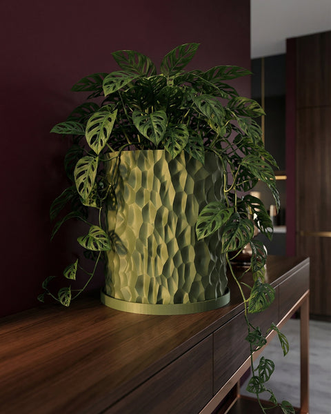 A green Monstera adansonii plant in a green textured planter pot sits on a wooden table against a dark red wall.