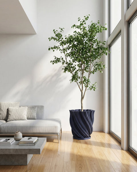 A ZZ plant in a textured, dark blue planter sits on a wooden shelf against an orange wall with a window.