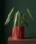 A red planter pot with a plant sits on a dark wooden bench in a room with dark green walls and a round gold mirror.