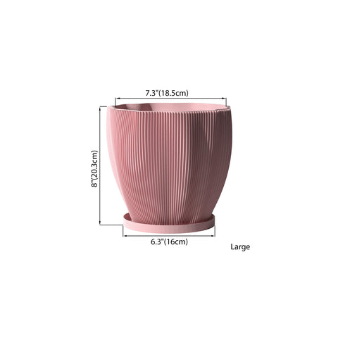 Candy Pink Coconut
