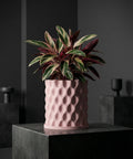 A pink planter pot with a plant in it sits on a dark gray cube. The pot has a textured, wavy pattern.