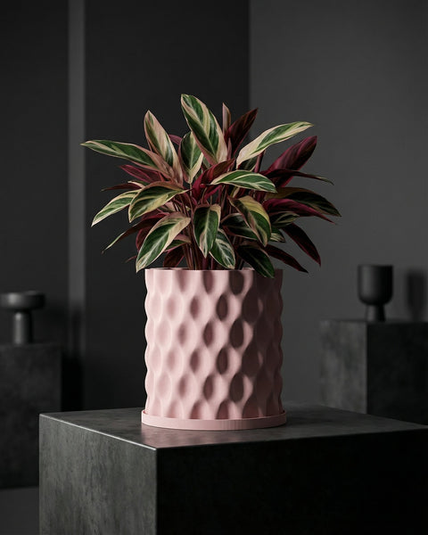 A pink planter pot with a plant in it sits on a dark gray cube. The pot has a textured, wavy pattern.