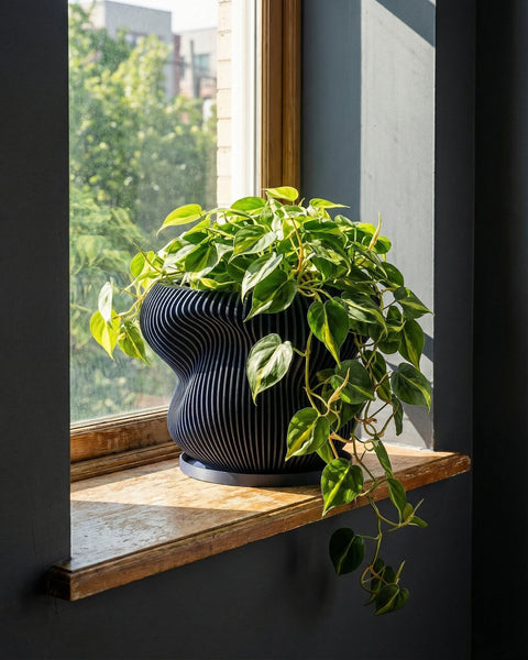 A dark blue planter pot with a ribbed design sits on a wooden table next to a plant with large, patterned leaves.
