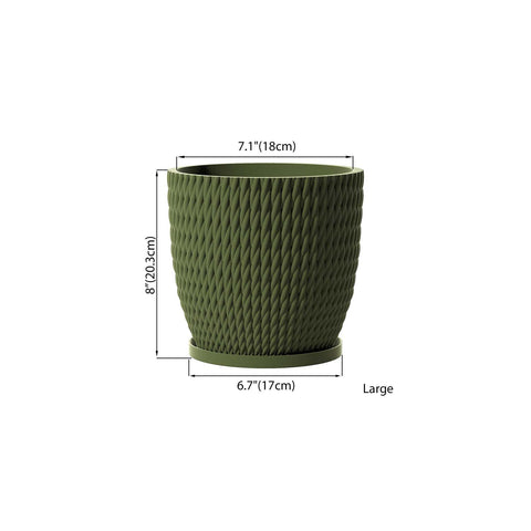 Avocado Green Vine