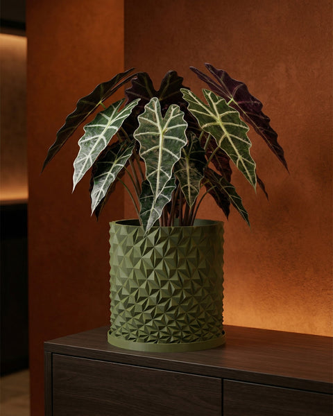 A green planter pot with a geometric design sits on a dark wood cabinet. The pot contains a plant with large, patterned leaves.