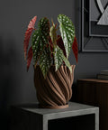 A brown planter pot with a green plant sits on a wooden bench in a room with dark green walls.