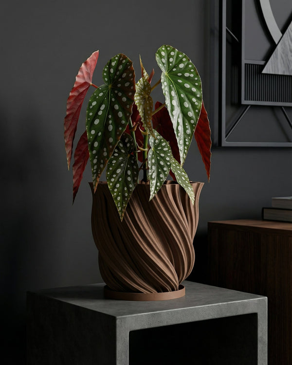 A brown planter pot with a green plant sits on a wooden bench in a room with dark green walls.