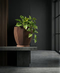 A brown planter pot with a green plant sits on a wooden bench in a room with dark green walls.