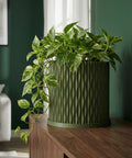 A green planter pot with a textured surface sits on a dark wooden table, filled with a lush green plant with variegated leaves. The background is a solid orange wall.