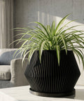 A vibrant philodendron plant spills out of a modern black planter pot with a ribbed design. The pot sits atop a concrete pedestal, set against a backdrop of a minimalist interior with sheer curtains and a bookshelf.