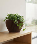 A brown, decorative planter pot with a green ivy plant sits on a light wood shelf against a white wall.