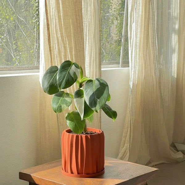 Terracotta Orange Kurtain