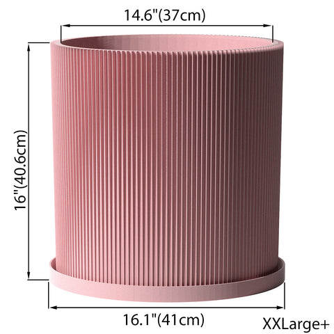 Candy Pink Ray