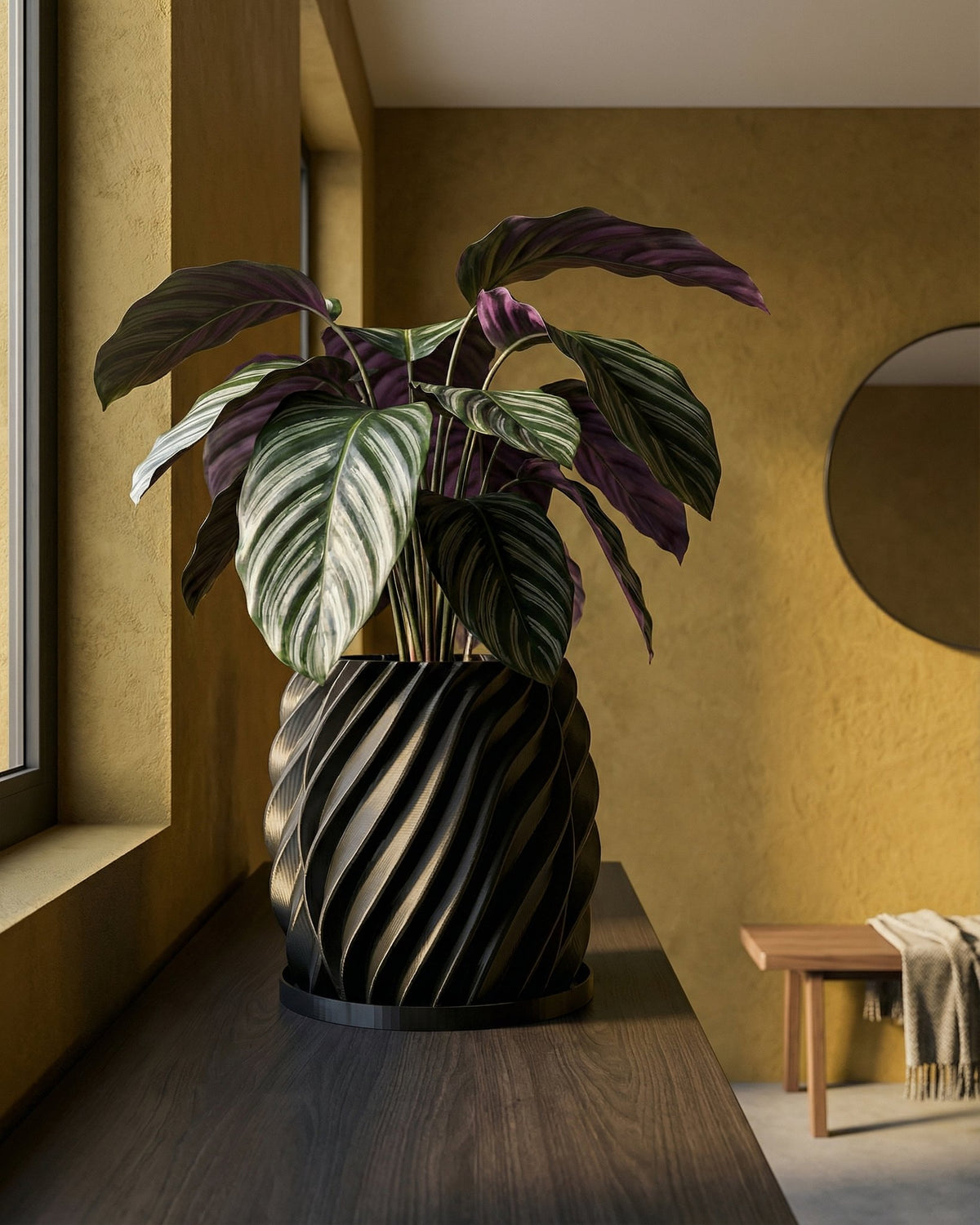 A Calathea plant sits in a black, spiral-designed planter pot on a dark wood surface, with a yellow wall and window in the background.