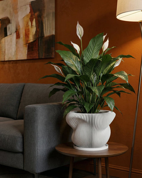 A Pilea peperomioides plant in a white, round, vertically ribbed planter pot sits on a wooden windowsill.