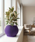 A purple planter pot with a plant in it is displayed on a dark gray surface, against a dark gray background. The pot has a ribbed texture and a wide, conical shape. The plant has green and yellow leaves.