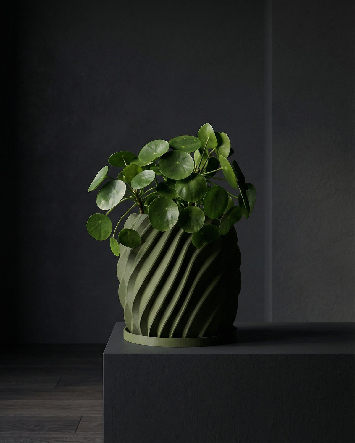 A green Pilea peperomioides plant in a matching green planter pot with a spiral design, sitting on a dark gray surface.