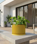 A yellow planter pot with a green plant on a wooden cabinet against a blue wall with a round mirror.