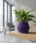 A vibrant purple planter pot holds a lush green palm plant, set against a dark, modern interior with a sleek cabinet and window blinds. The polished concrete floor reflects the ambient light, highlighting the pot's unique ribbed texture.