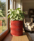 A red planter pot with a wavy design sits on a wooden windowsill, holding a lush green plant with white variegation.