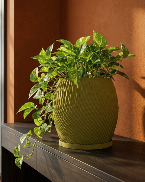 A vibrant pothos plant cascades from a textured, olive-green planter pot, sitting on a dark wood surface.