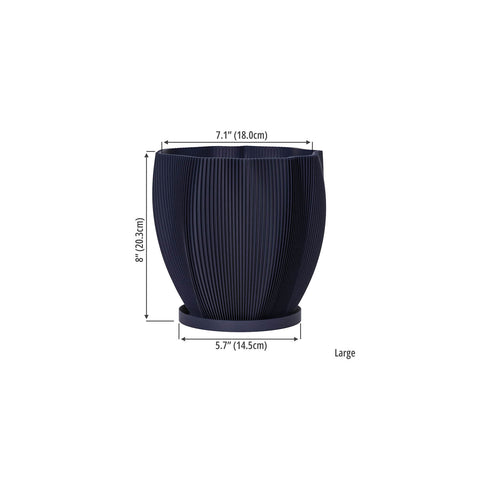 Deep Ocean Blue Coconut