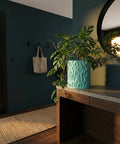 A monstera plant in a textured, light blue planter pot sits on a wooden table in a room with dark teal walls.