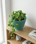 A vibrant pothos plant cascades from a teal, ridged planter pot, sitting atop a light wood shelf. The shelf also holds books and a geometric concrete object, with a window and white wall in the background.