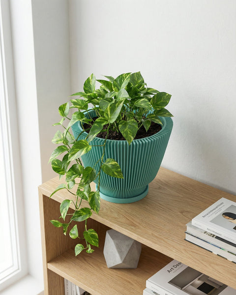 A vibrant pothos plant cascades from a teal, ridged planter pot, sitting atop a light wood shelf. The shelf also holds books and a geometric concrete object, with a window and white wall in the background.