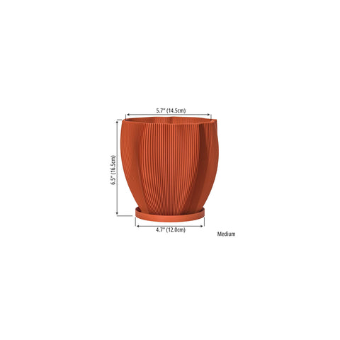 Terracotta Orange Coconut