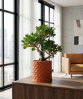 A planter pot with a plant sits on a table next to a gray couch and a lamp. The planter pot is orange and has a textured design.