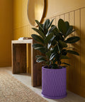 A spider plant in a purple planter pot sits on a dark wood table next to a gray sofa.