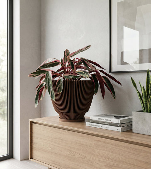 A Stromanthe plant in a brown, fluted planter pot sits atop a light wood cabinet. The plant has green and pink striped leaves. Next to the planter are three stacked books and another plant in a gray pot. A framed piece of art hangs on the wall behind the plants.