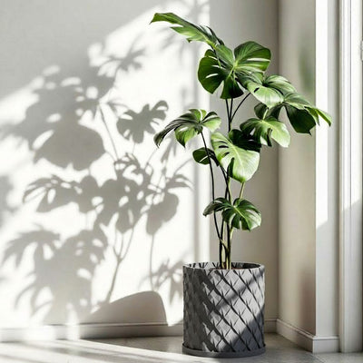 Concrete Grey Chisel