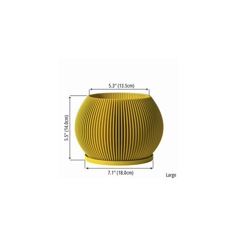 Lemon Yellow Melon