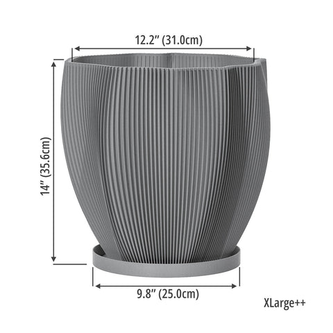 Concrete Grey Coconut