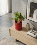 A red planter pot with a geometric design sits on a wooden cabinet next to books and a vase. A plant is in the pot.