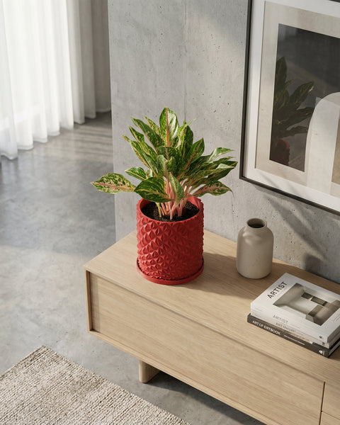 A red planter pot with a geometric design sits on a wooden cabinet next to books and a vase. A plant is in the pot.