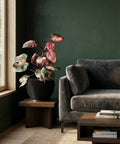 A black planter pot with a pink and green plant sits on a wooden table next to a grey couch in a room with dark green walls.
