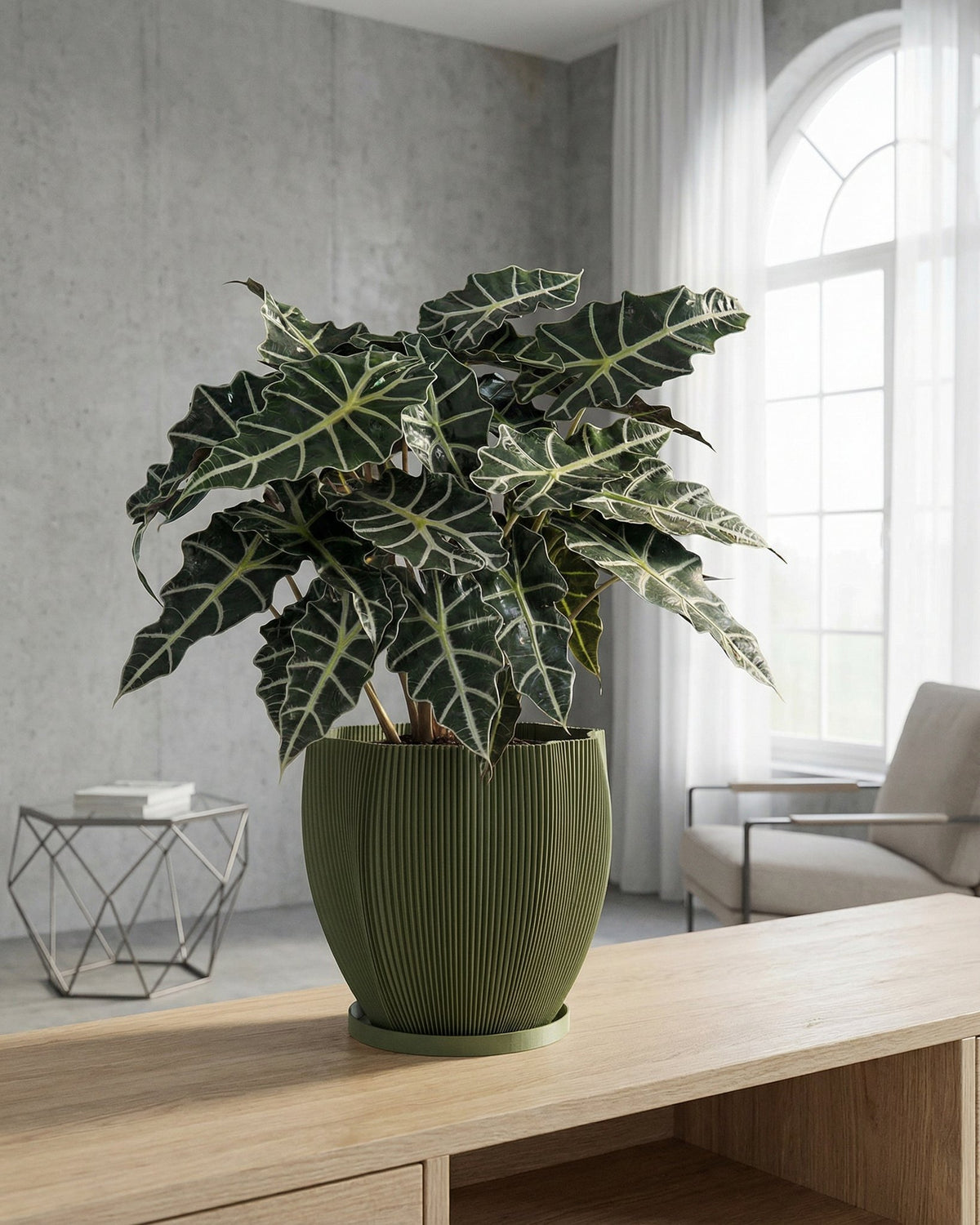 A green planter pot with a textured surface sits on a dark wooden table, filled with a lush green plant with variegated leaves. The background is a solid orange wall.