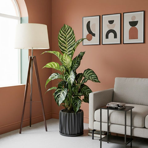 Charcoal Black Kurtain