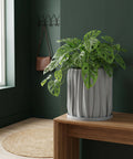 A gray planter pot with a green ivy plant sits on a wooden shelf against a rust-colored wall.