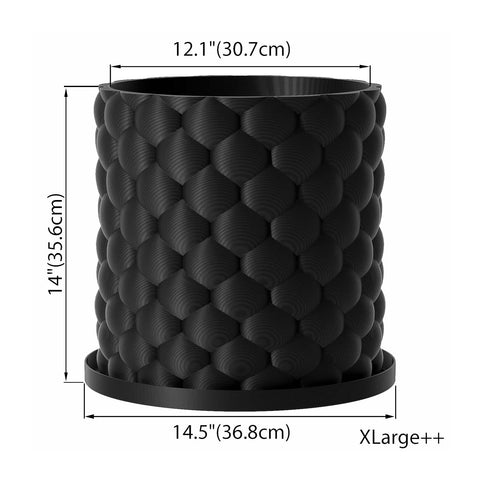 Charcoal Black Bubble